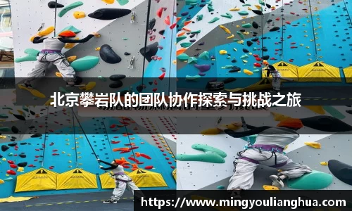 必一bsports体育